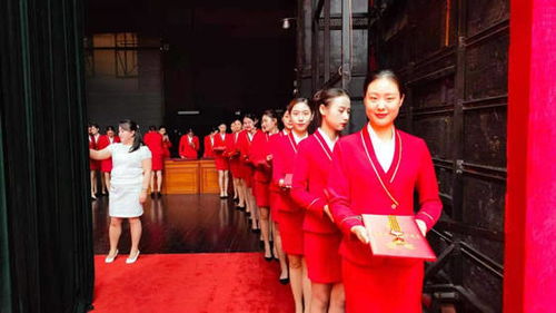 洛陽職業(yè)技術學院禮儀隊圓滿完成洛陽市七一表彰大會頒獎禮儀服務與軟件開發(fā)